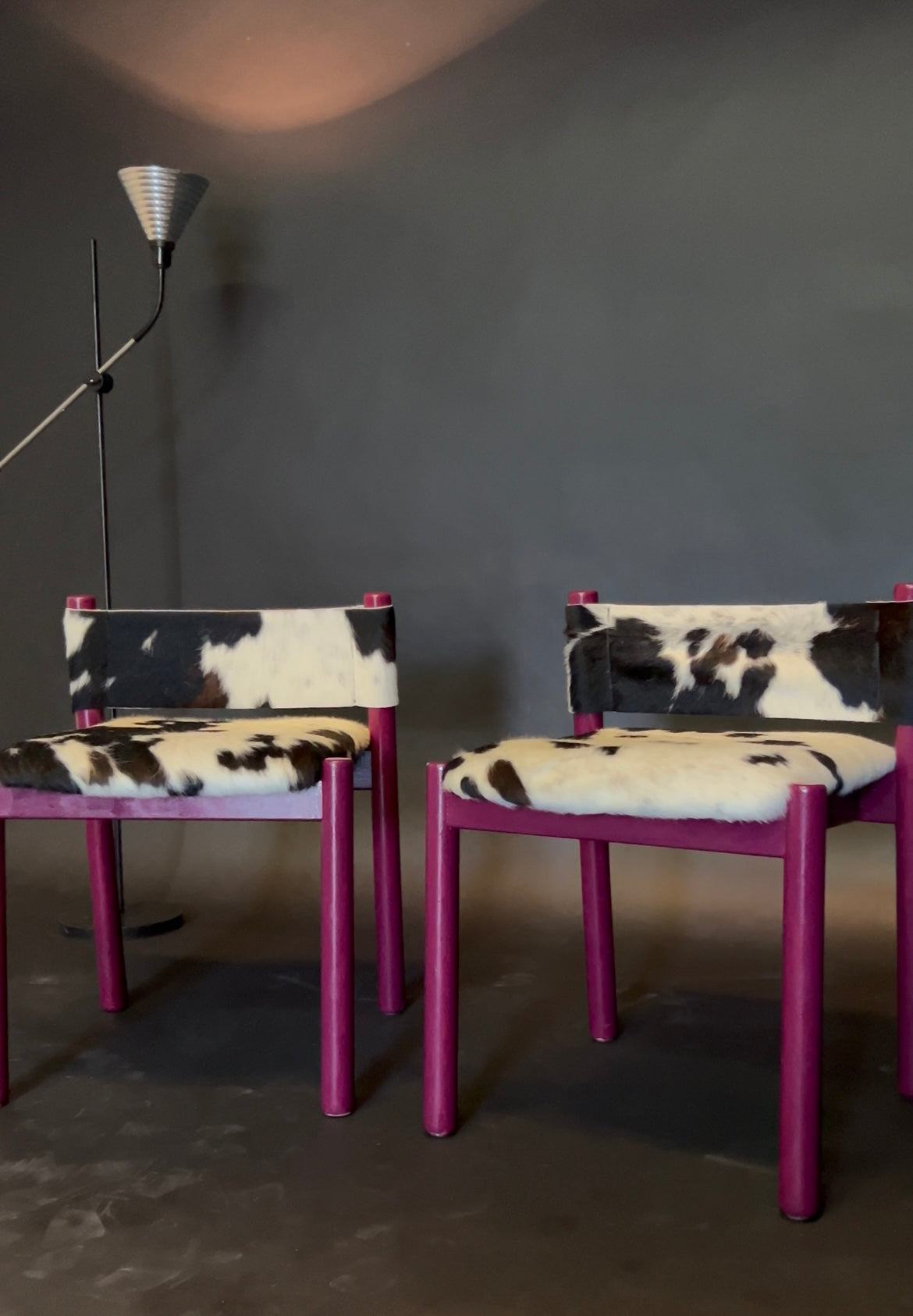 Combo Animal Bold Chairs